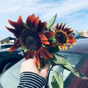 Meet your Posher, Lexi